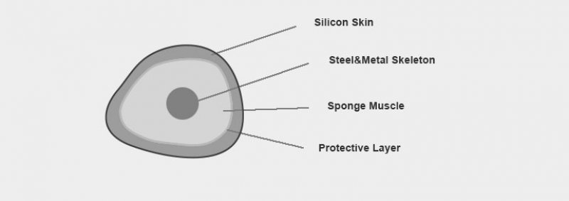 Internal structure of the doll's body